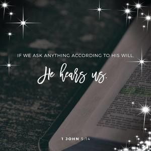 Meet your Posher, Theresa